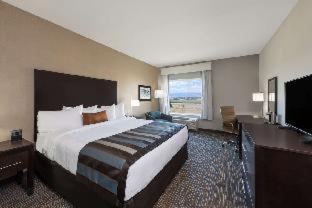 Wyndham Garden Orlando Universal / I Drive 部屋 写真