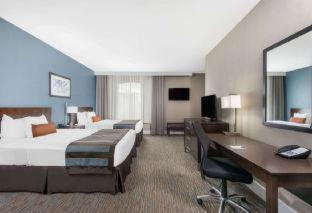 Wyndham Garden Orlando Universal / I Drive 部屋 写真